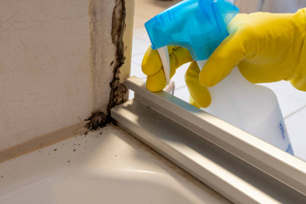 Best Post-Remediation Services in Green Knoll, NJ